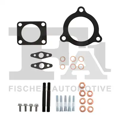 FA1 KT890100