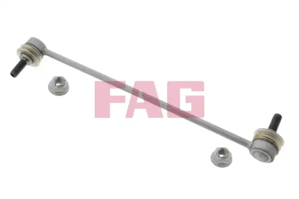 FAG 818 0256 10
