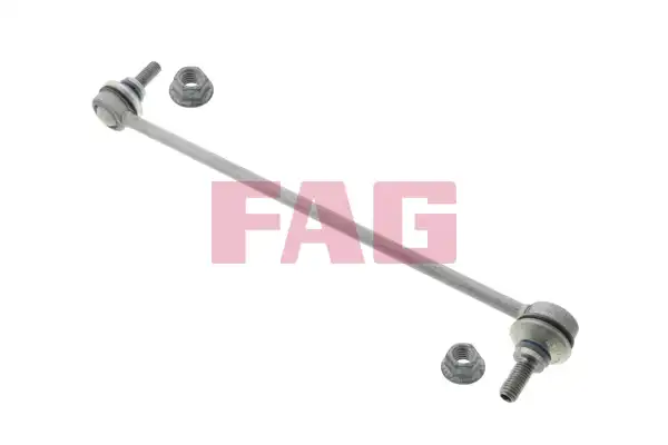 FAG 818 0317 10