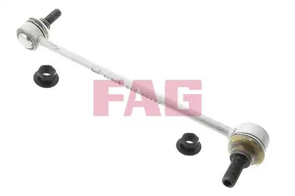 FAG 818 0381 10