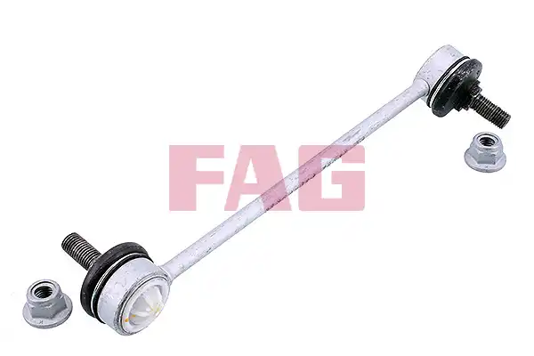 FAG 818 0519 10