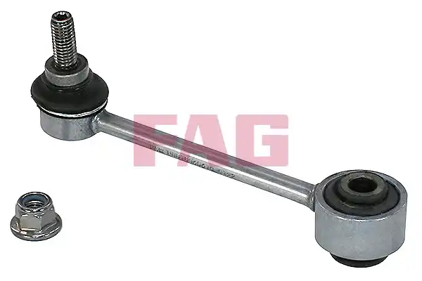FAG 818 0656 10