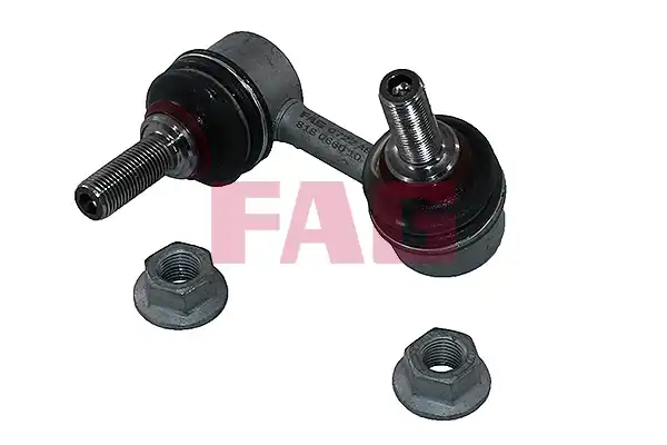 FAG 818 0660 10
