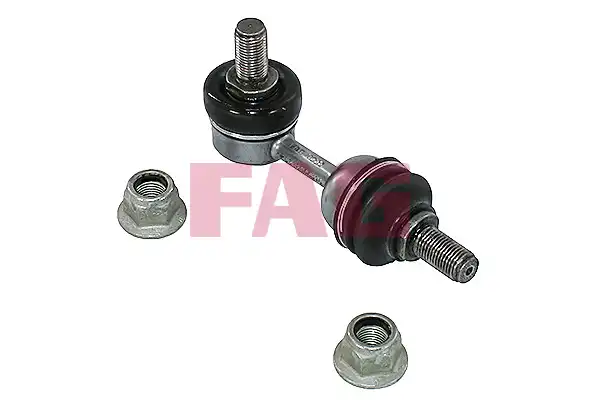 FAG 818 0663 10