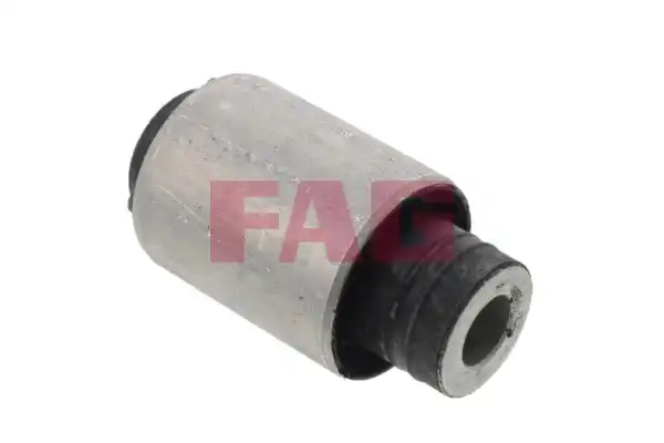 FAG 829 0003 10