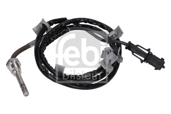 FEBI 100824