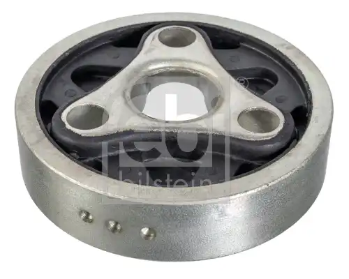 FEBI 10171