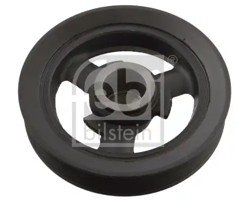 FEBI 103113