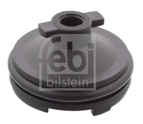 FEBI 106566