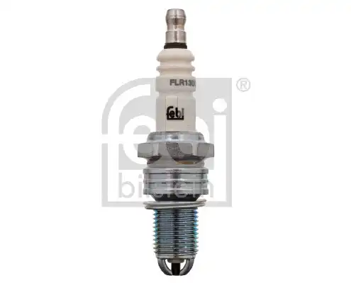 FEBI 13509