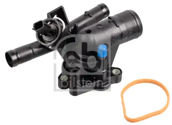 FEBI 172284