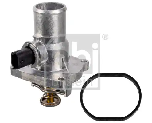FEBI 172522