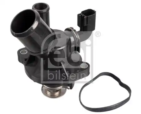 FEBI 172970