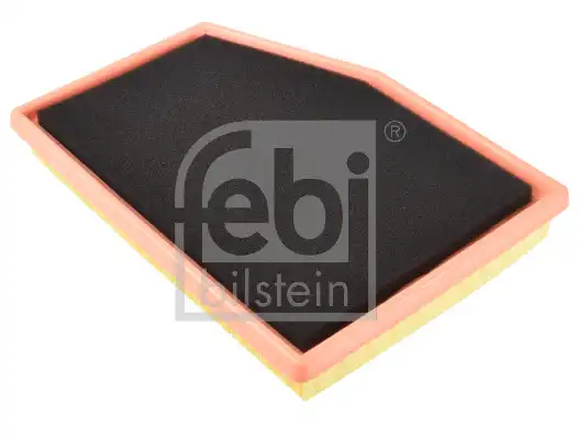 FEBI 172986