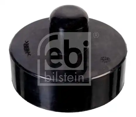 FEBI 173025