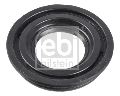 FEBI 174029