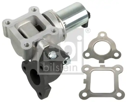 FEBI 174272