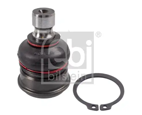 FEBI 174293