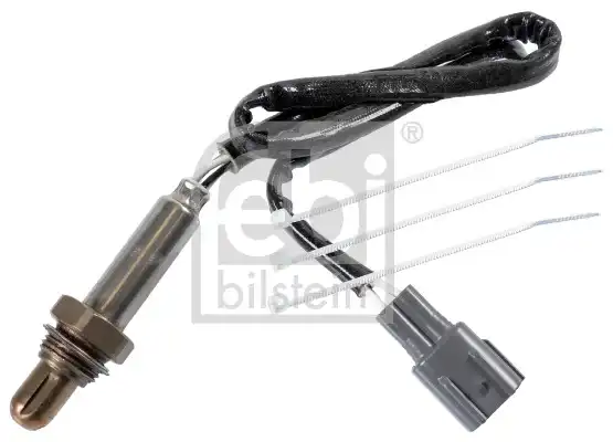 FEBI 175899