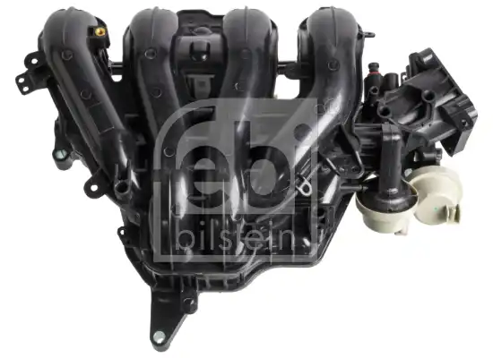 FEBI 176440