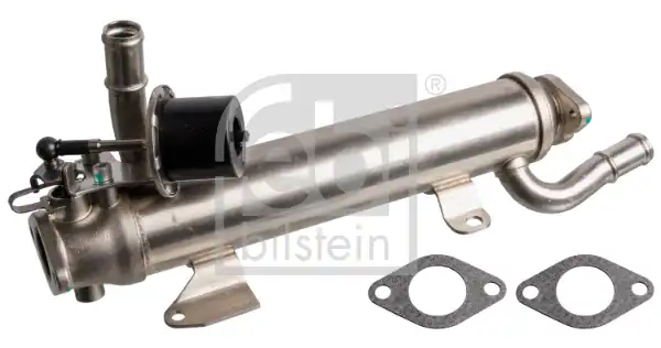 FEBI 176884