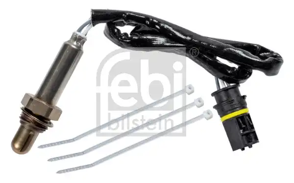 FEBI 177381
