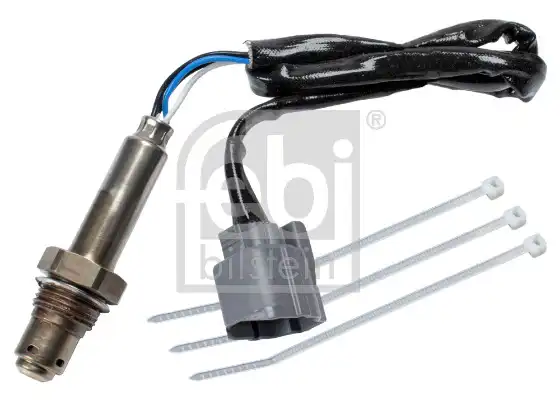 FEBI 177524