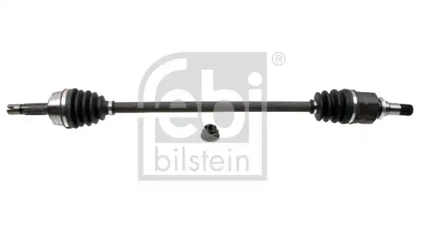 FEBI 184613