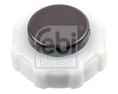 FEBI 185504