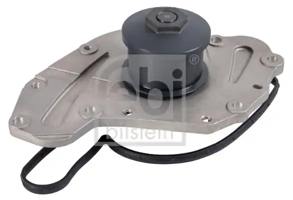 FEBI 186008