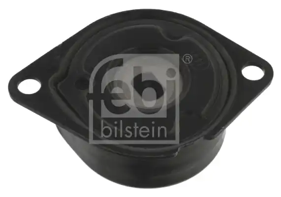 FEBI 26925