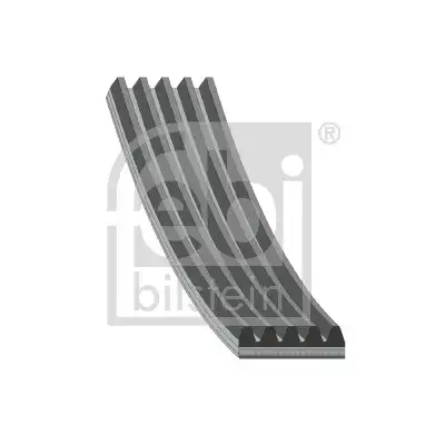 FEBI 28885
