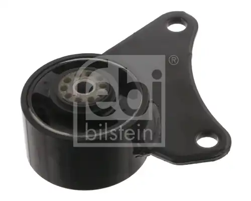 FEBI 30079