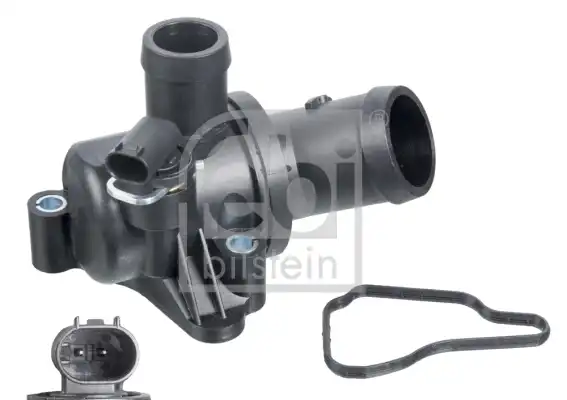FEBI 37181