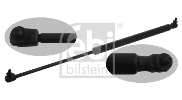 FEBI 38295