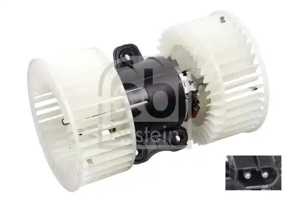 FEBI 38482
