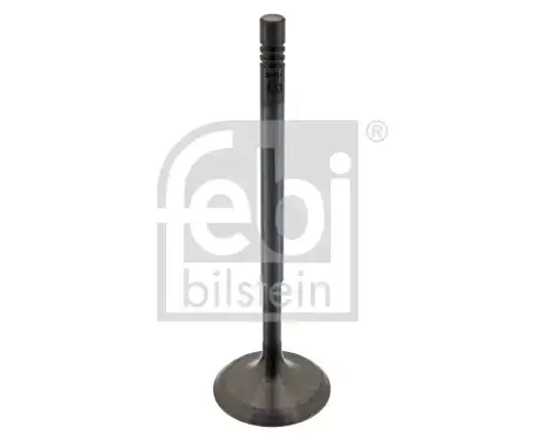FEBI 38604