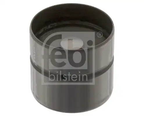 FEBI 48733