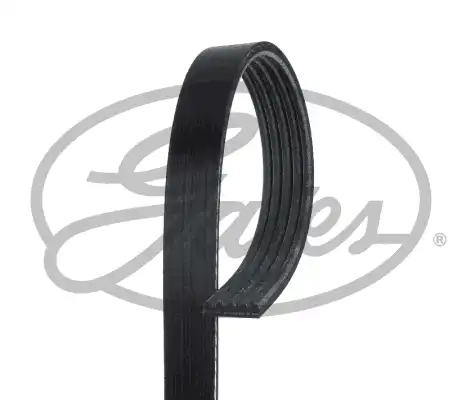 GATES 5PK1236SF