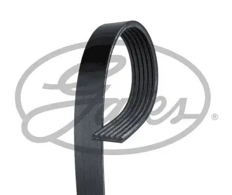 GATES 6PK2613