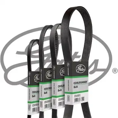 GATES CB0049
