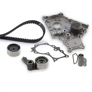 GATES KP25562XS-1