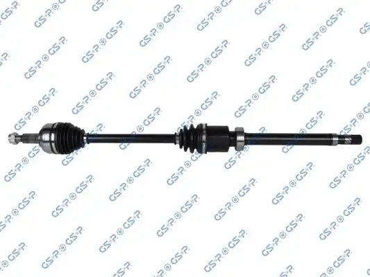 GSP 202451