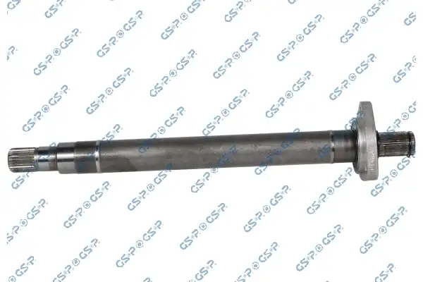 GSP 202863