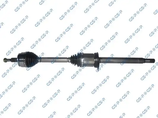 GSP 203353