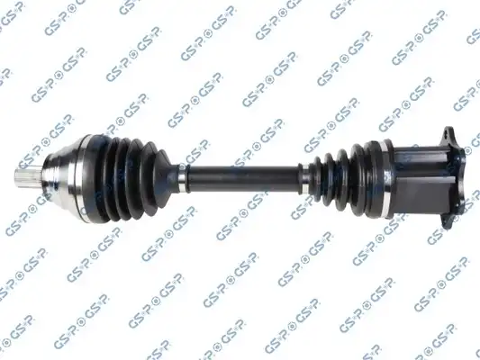 GSP 203381