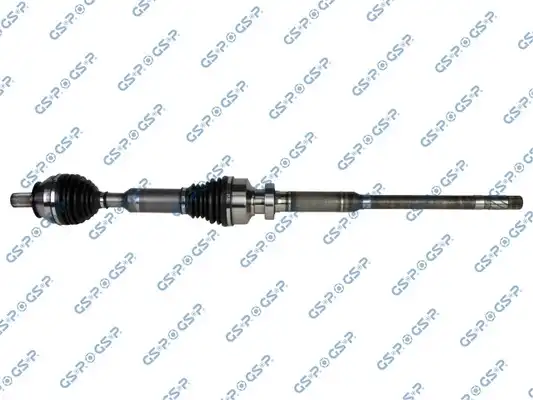 GSP 203406