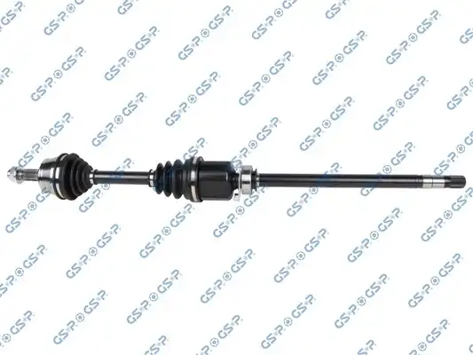 GSP 203670