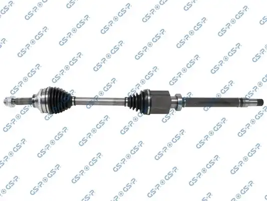 GSP 203779