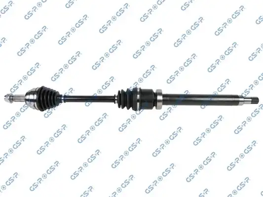 GSP 203805